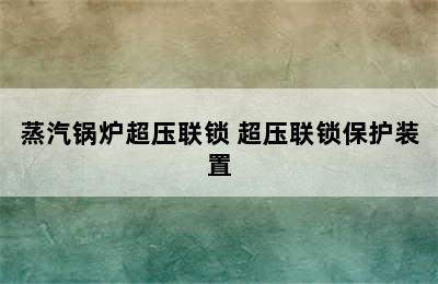 蒸汽锅炉超压联锁 超压联锁保护装置